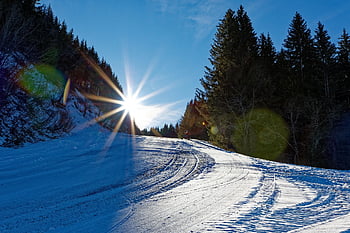 slunce, les, zimní, lyže, backcountry lyžování, zimní sporty, sníh, krajina, Příroda, zimní krajina