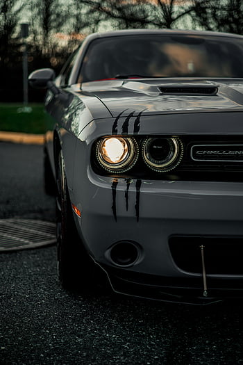gray Dodge Challenger, LED headlights, muscle car, close-up, gray car, headlight, muscle design, car front, automotive, vehicle, headlights on