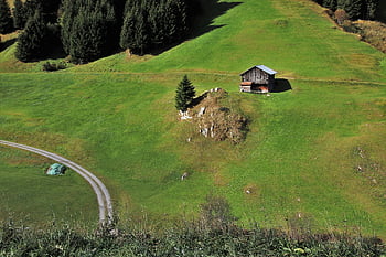 alpine Village, cottage, meadow, the Cabin In The Mountains, green, hat, view From Above, peak, alpine, wilderness, rock
