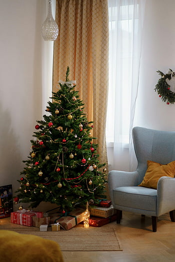 Christmas tree, green Christmas tree, baubles, decorated Christmas tree, elegant living room, gifts, holiday decor, festive decorations, Christmas ornaments, indoor Christmas scene, cozy living room