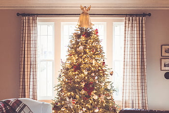 light, christmas, tree, decoration, holiday, winter, ornament, spirit, seasonal, december, beautiful