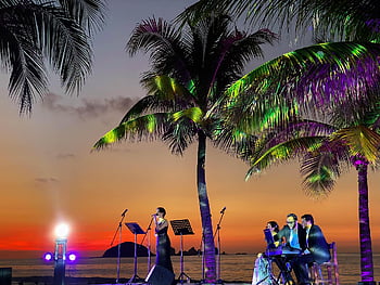 music, live, concert, festival, singing, entertainment, audience, nightlife, band, event, singer