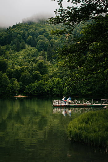 lago della foresta, persone sul molo, vegetazione lussureggiante, Riflessioni serene, natura pacifica, paesaggio verde, scena tranquilla, bellezza naturale, scenario all'aperto, acque calme, foresta nebbiosa
