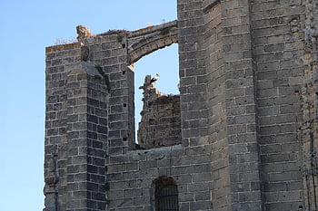 the Port Of Santa Maria, heritage, monument, stork, cadiz, architecture, church, spain, historical, andalusia, culture