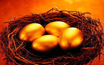 golden Eggs, nest, wealth, eggs, symbol, fortune, gold, golden, bird Nest