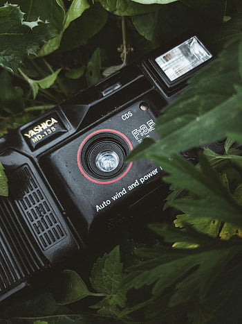 Yashica MD-135, vintage camera, classic camera, analog photography, nature background, green leaves, nostalgia, retro camera, photography equipment, lush foliage, aesthetic pictures