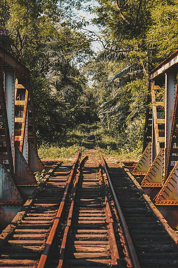 fotografie peisaj, Sina de cale ferata, Căi ferate rustice, luxuriant verde frunze, zi insorita, vedere scenică, sine de cale ferata, verdeaţă, scena în aer liber, natură, pod