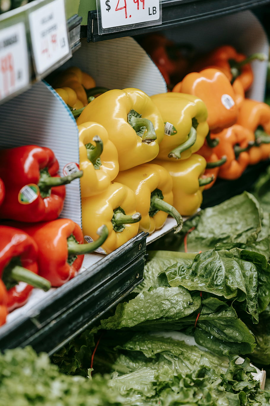 Čerstvé papriky, Barevné papriky, živý displej, obchod s potravinami, čerstvý salát, supermarket, nejrůznější papriky, byliny, lednička, zelenina, výrobní sekce