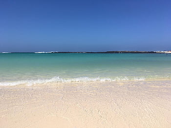 beach, fuerteventura, island, paradise, summer, sunscreen, travel, spain, sand, sea, sky