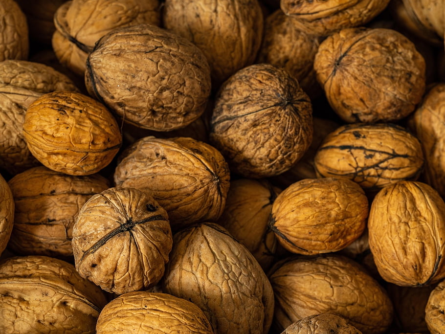 nuts, close Up, group, food, diet, raw Material, brown, yellow, structure, surface, matte