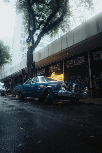 blue muscle car, vintage car, wet city street, urban life, parked car, tree, cityscape, wet pavement, urban setting, classic car, street scene