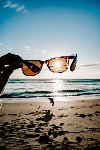 tortoiseshell framed sunglasses, ocean sunset, summer travel, beach scene, hand holding sunglasses, seagull, seaside, vacation, travel accessory, beach fashion, sunset view