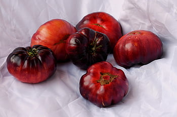 tomatoes, fruits, healthy, salad, huerta, vegetable, farming, tomato, foods, vegetarian, vegan