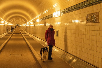 elbe Tunnel, old Elbe Tunnel, hamburg, architecture, tunnel