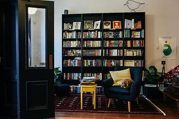 raft de cărți din lemn negru, cărți, fotoliu confortabil, acasă bibliotecă, Accente decorative, Primitor cald, pernă galbenă, plante de interior, podea de lemn, covor, colecție de cărți