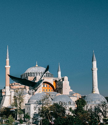 ハギア・ソフィア、 古代のモスク、 イスタンブール、 Turkiye、 青空、 飛んでいる鳥、 歴史的建造物、 ドーム、 ミナレット、 旅行先、 ランドマーク