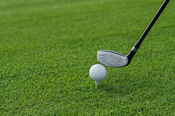 golf club, golf ball, tee, lush green grass, golf course, golf equipment, golf sport, golfing, outdoor recreation, golf swing, golf practice