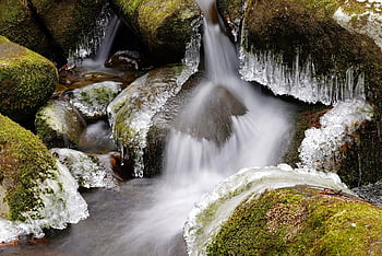 ลำธาร, หุบเขา, ภูเขา, ป่า, น้ำ, ตะไคร่น้ำ, เย็น, หิน, น้ำตก, สะอาด, สีเขียว