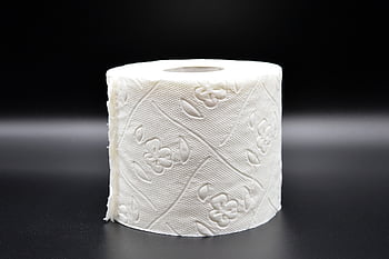 toilet Paper, hygiene, loo, role, wc, toilet, paper, corona, virus, sanitary, lockdown
