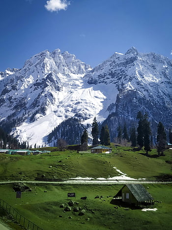zasněžené hory, Vibrující zelené travní porosty, kašmír, pohled, nádherný výhled, Snow-pokryté vrcholy, horské krajiny, zelené louce, zimní scenérie, horské vesnice, modrá obloha
