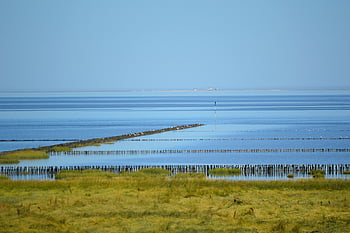 north Sea Coast, north Sea, sea, water, landscape, summer, watt, ebb, wadden Sea, nature Reserve, coast