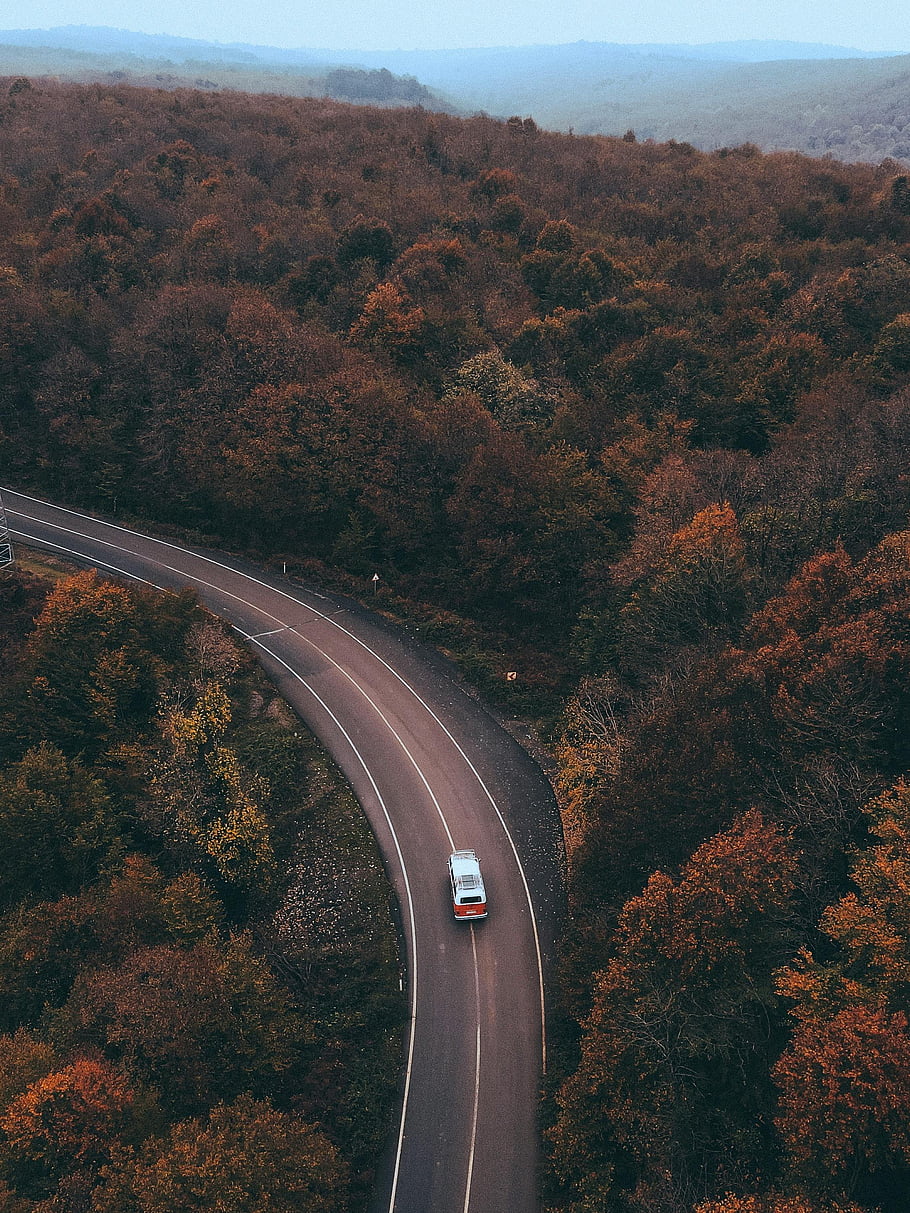 silnice v lese, Historické auto, klikatá cesta, podzimní les, Istanbul, krocan, letecký pohled, barvy podzimu, scénický disk, přírodní krajina, cestovní fotografie