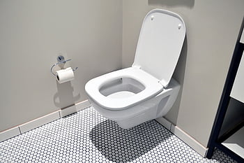 hotel, toaleta, bílý, dlaždice, podlaha, toaletní papír, koupelna, čistý, luxus, miska, záchodová mísa