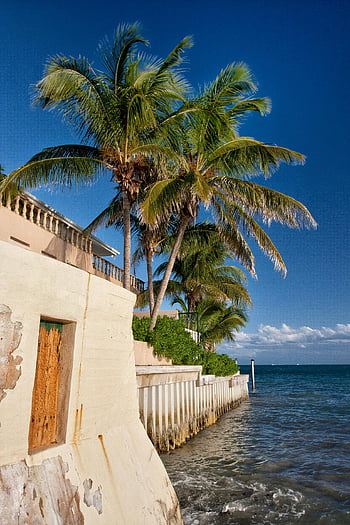 palmiers, bâtiment en béton blanc, Front de mer de Key West, vagues de l'océan, escapades tropicales, plage ensoleillée, propriété en bord de mer, paysages côtiers, vue sur l'océan, vacances à la plage, architecture balnéaire