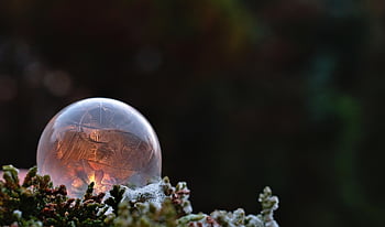 soap Bubble, nature, bubble, frozen, ice, water, eiskristalle, cold, icy, winter, crystalline