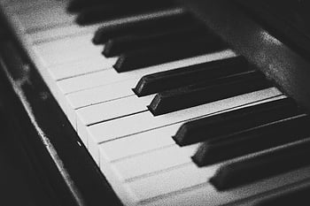 tastiera in bianco e nero, tastiera elettronica, tasti del piano, piano piano vicino, bellezza musicale, pianoforte in bianco e nero, Piano elegante, primo piano della tastiera, Dettagli chiave per pianoforte, strumento musicale, musica in bianco e nero