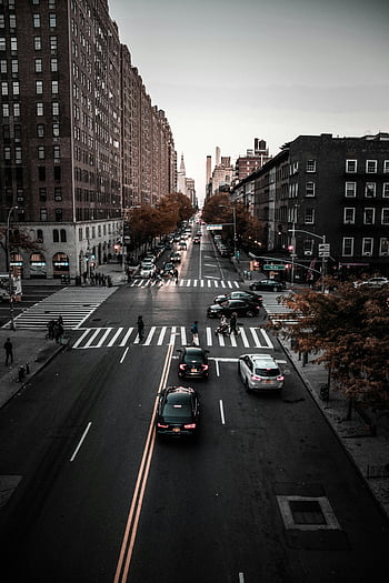 aerial view, bustling urban street, autumn trees, cars, cityscape, crosswalk, traffic, urban landscape, street scene, fall season, city life