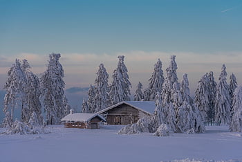 house, winter, snow, trees, village, cold, wintry, fog, outdoors, mountain, landscape