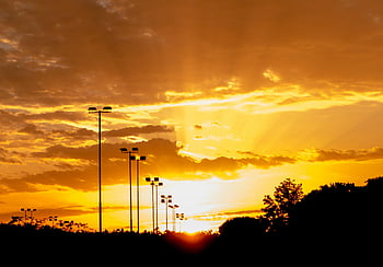solnedgang, gadelamper, Silhuetterede lygteposter, varm glød, levende solnedgang, træer, himmel, skyer, aften, udendørs, natur