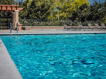 blue swimming pool, green trees, tranquil poolside scene, sparkling blue water, empty lounge chairs, outdoor pool, poolside relaxation, pool area, natural setting, poolside greenery, serene poolside