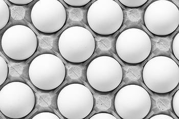 eggs, food, egg Tray, pattern, white Eggs, chicken Eggs, organic, healthy, closeup