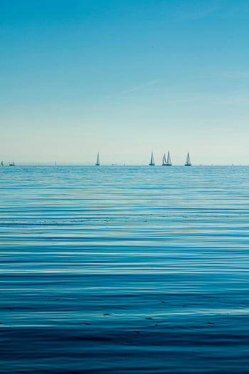 boats, body of water, blue sky, calm ocean, sailboats, horizon, clear sky, water view, sailing, seascape, tranquil scene