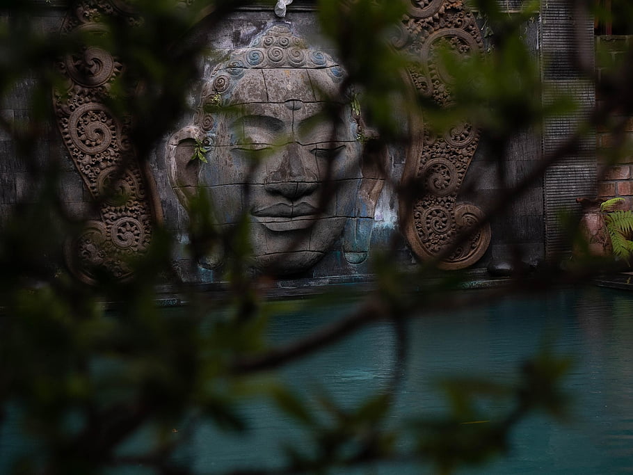 buddha, pool, branches, serene, calm