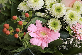 buket blomster, natur, gerbera, lyserød, lyse, blomst tapet, flok blomster, glædelig Mors Dag, blomst baggrund, Fødselsdato, blomst