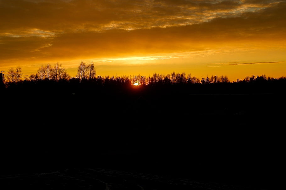 sunrise, morning, sun, trees, horizon, nature, landscape, calmness, autumn, clouds, calm