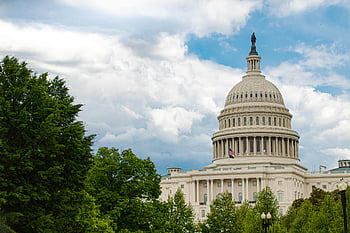 budova Spojených států capitol, Washington DC., nás. capitol, Ikonický pohled, svěží stromy, capitol dome, Americká architektura, vladni budova, historické památky, Washington Landmark, modrá obloha