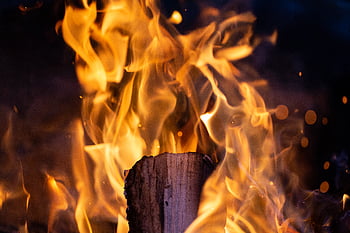 campo, fuoco, legna, scintille, brace, caldo, fiamma, all'aperto