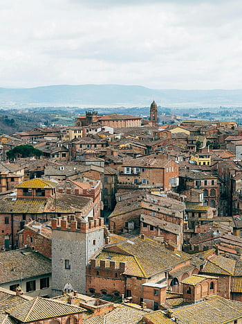 Siena, alte Stadt, Historische Dächer, Italien, Panoramablick, braune Gebäude, graue Gebäude, historische Architektur, Europäisches Stadtbild, mittelalterliche Stadt, toskana