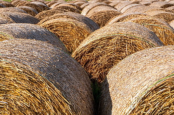 Heu, rollen, Ballen Heu, Rolle Heu, Strohballen, Ernte, Stroh, Landwirtschaft, Natur