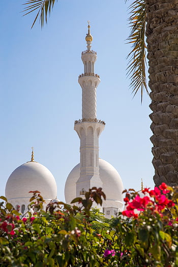 kupole, mešita abu dhabi, Alláh, Arab, arabský, arabština, architektura, Asie, budova, kultura, dhabi