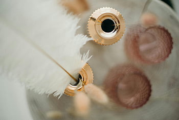 white feather quill, vintage close-up, ink bottle, elegance, tradition, quill pen, white feather, ink, vintage, close-up photography, elegant writing