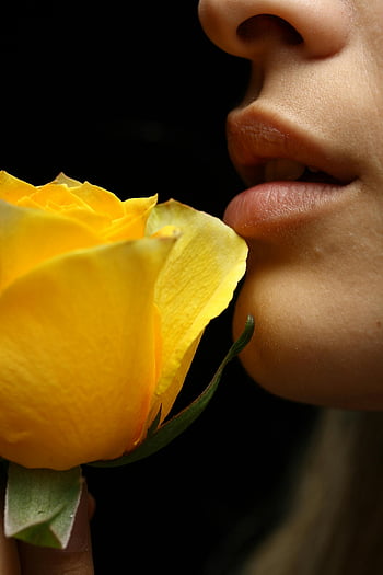 Selectieve focusfotografie, Vrouw ruikt, gele roze bloem, artistieke close-up, lippen van de vrouw, levendige gele roos, elegantie, romance, close-up fotografie, florale fotografie, schoonheid fotografie