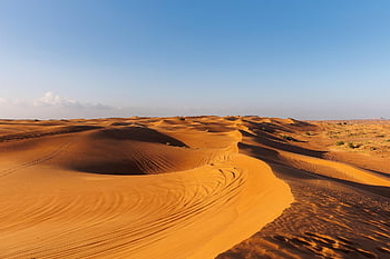 poušť, duny, krajina, Dubaj, Příroda, Spojené arabské emiráty, emiráty, písek, sahara, cestovat, kaktus