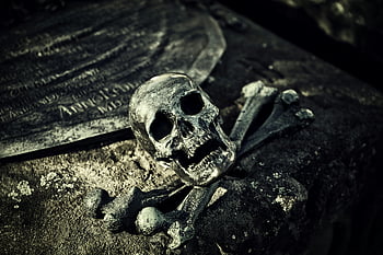 gray skull, close-up shot, skull and crossbones, ancient tombstone, spooky cemetery, haunting image, cemetery tombstone, skull decoration, eerie atmosphere, grave marker, dark photography