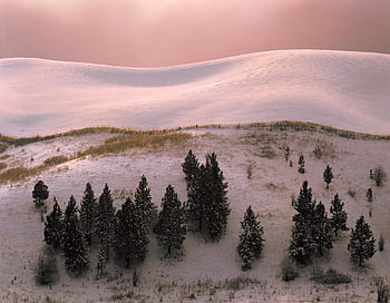 winter, trees, nature, snow, hills, eastern Washington, inland Northwest, morning, cold, landscape, washington