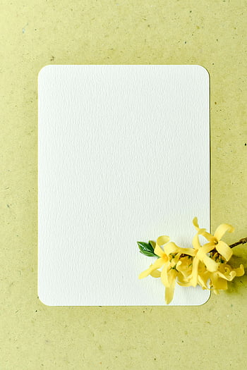 yellow flowers, white paper, textured paper, card mockup, creative designs, elegant card, floral design, yellow blooms, paper background, minimalist design, spring flowers